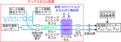 図2 デュアル光コムを用いたアクティブ・ダミー温度補償