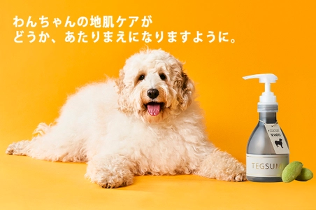 わんちゃん用シルクケアシャンプー『TEGSUMI(R)』(テグスミ)　 今秋発売予定のシルクケアブラシを無料でプレゼントする 「Summer Communication Campaign」を8月1日(日)より実施！