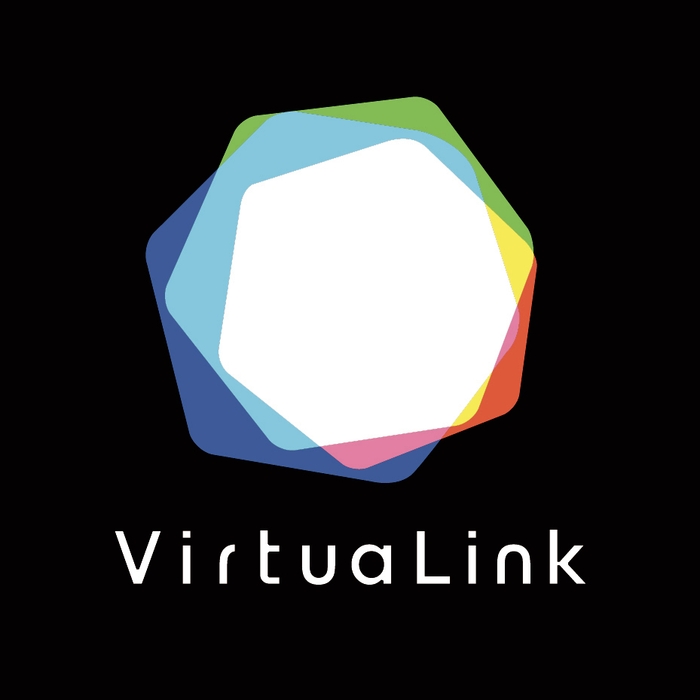 VirtuaLink黒ロゴ