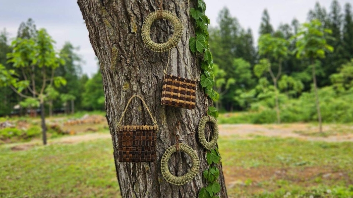 奥会津 三島町の工人さんに教わる、ヒロロとクルミを使った編み組細工体験