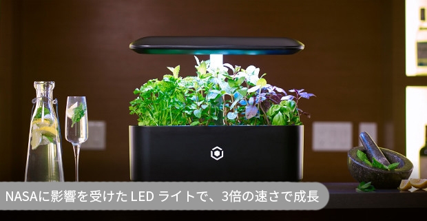 LEDライトで効率的な成長が実現