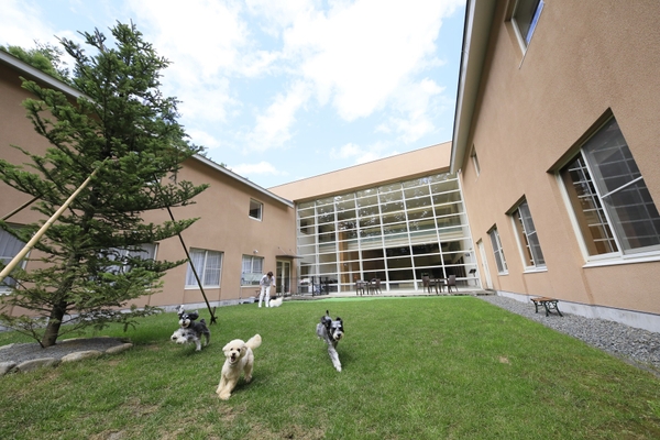 屋外ドッグラン