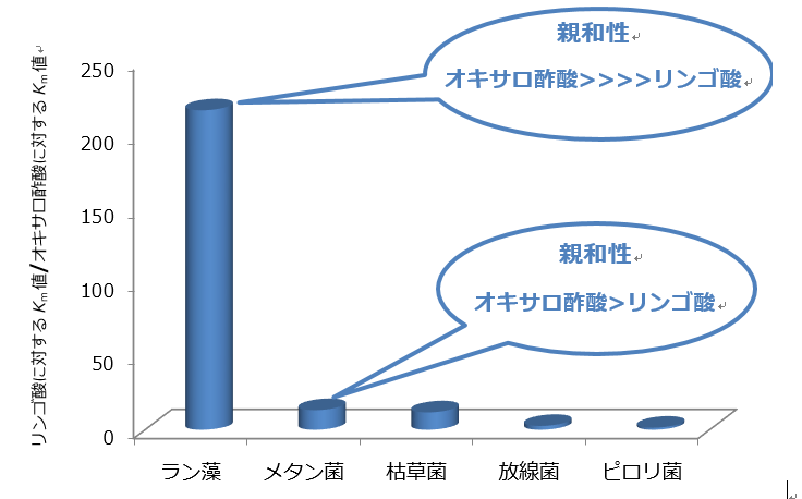 図3. 各微生物から単離されたMDHにおける、リンゴ酸への親和性とオキサロ酢酸への親和性の比(リンゴ酸に対するKm値/オキサロ酢酸に対するKm値)