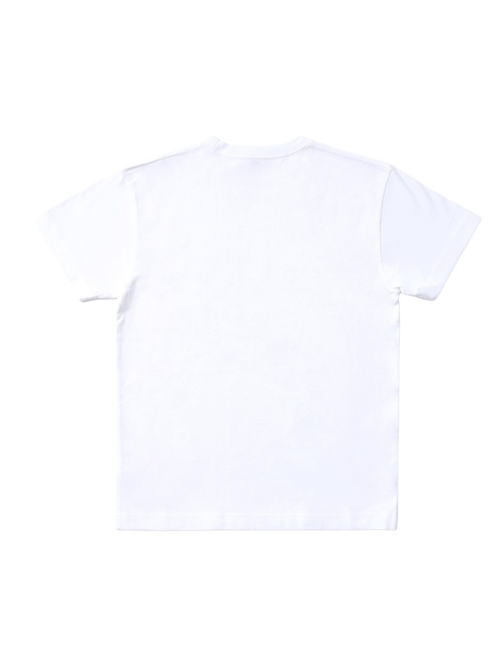 Hanes_HIRAIDAI_5