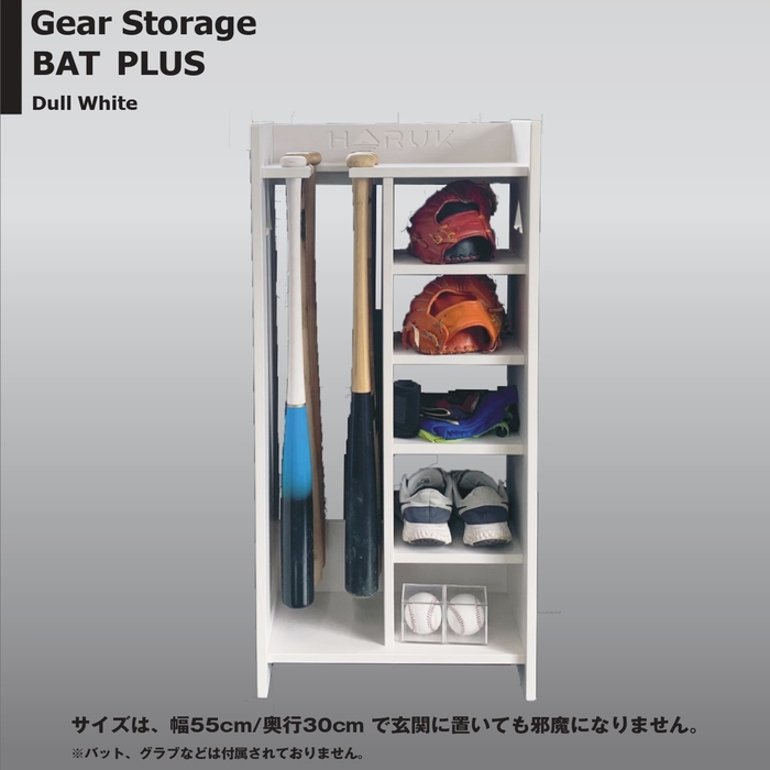 商品画像　Gear Storage BATPLUS WT3