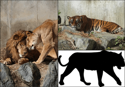 三大陸を代表する猛獣が一同に!