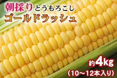 生でも食べられる甘いとうもろこし！  産地直送通販サイト「ＪＡタウン」で和歌山県産朝採りとうもろこし「ゴールドラッシュ」の販売開始！