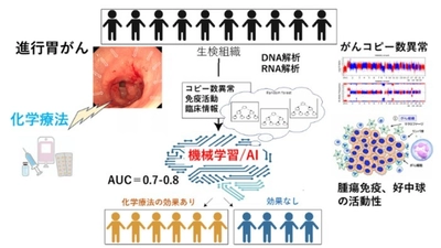 人工知能で胃がんの化学療法の効果を予測－免疫ゲノム情報を基にした精密医療に期待－