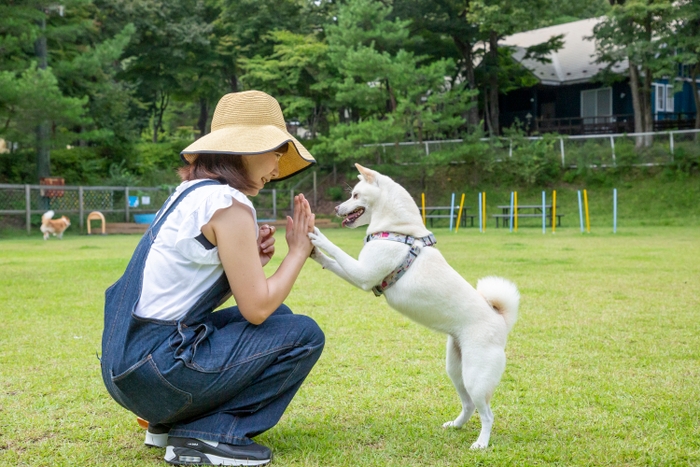 「with Dogs club」イメージ4