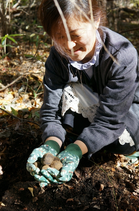 トリュフを採取するマダム