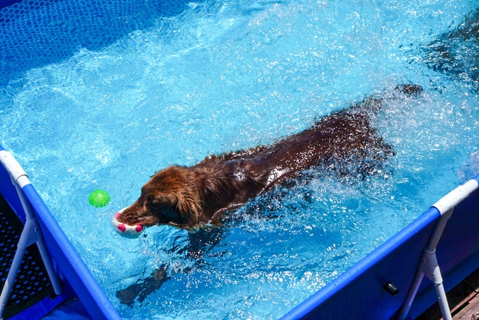 くろうの泉で楽しく涼もう♪