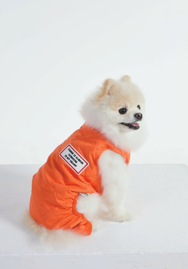 大きなワッペンがおしゃれ!