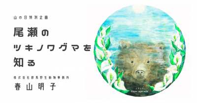 山の日特別企画｜『尾瀬のツキノワグマを知る』トークイベント