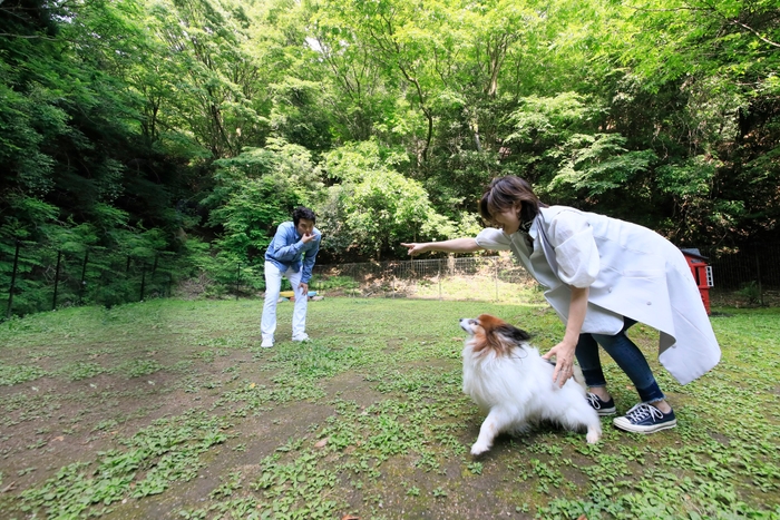 ドッグラン