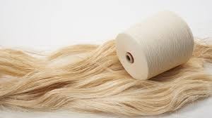 世界のマニラ麻パルプ市場成長率：2032年までに6.15%に達する見込み