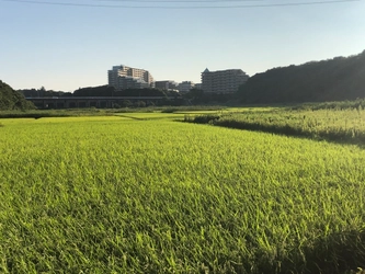 千葉県・ユーカリが丘 「子どものことを一番に考えたらユーカリが丘」 ～昨年310名来場の子育て応援プロジェクト 『田植え体験』を5月9日(土)に実施～