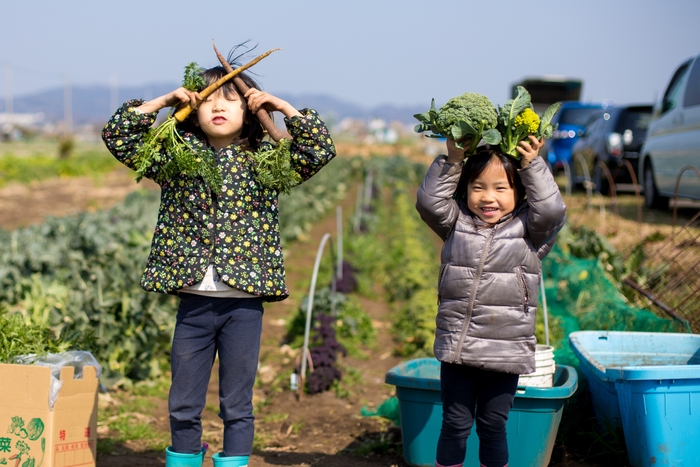 ソレイユの丘_ソレイユ秋野菜 収穫体験！_1_日比谷花壇