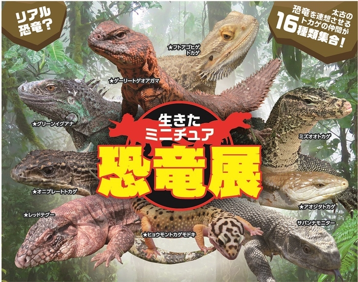 生きたミニ恐竜展