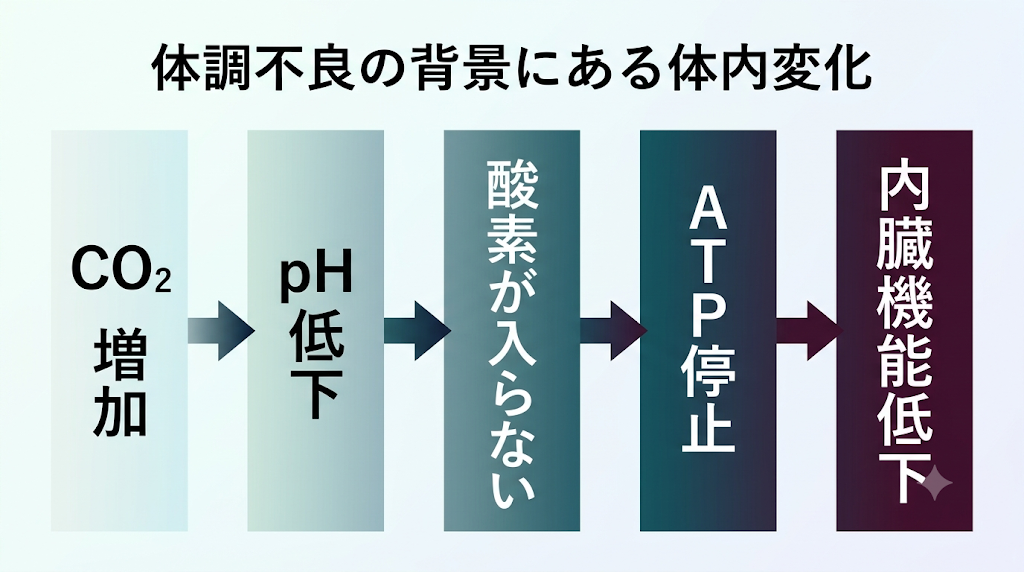 眠りづらさの正体──シリーズ第5回 浅い呼吸で増えたCO₂が細胞の環境を乱し、内臓機能をさらに低下させる