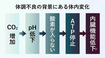 眠りづらさの正体──シリーズ第5回　浅い呼吸で増えたCO₂が細胞の環境を乱し、内臓機能をさらに低下させる