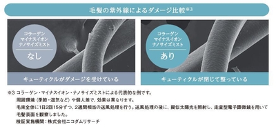 紫外線に負けない、理想的なうるおい髪へ