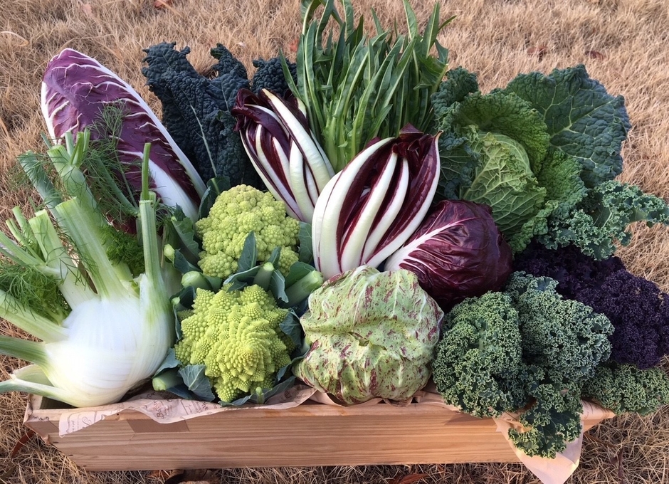 さいたまヨーロッパ野菜 イメージ