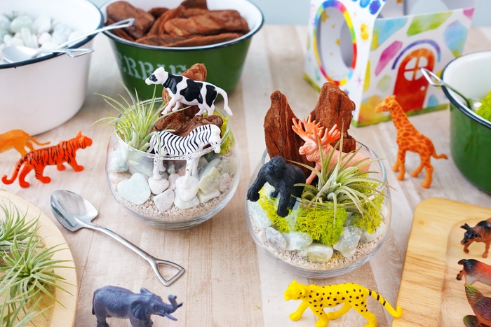 「グラスガーデン」ワークショップ画像(2)