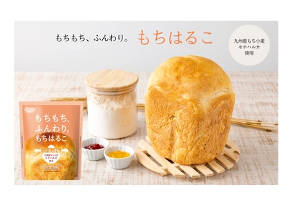 希少もち小麦「モチハルカ」使用！もちふわ食感を実現する パン用小麦粉「もちはるこ」　9月2日より発売