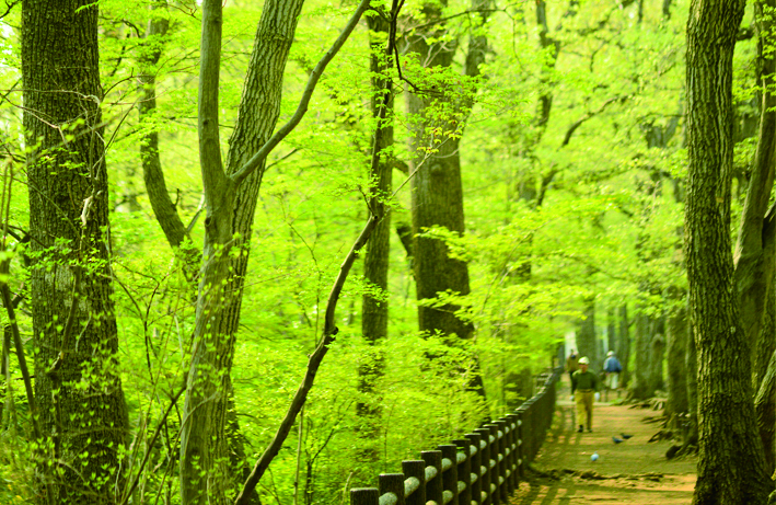 第18回・森の地図スタンプラリー　春開催