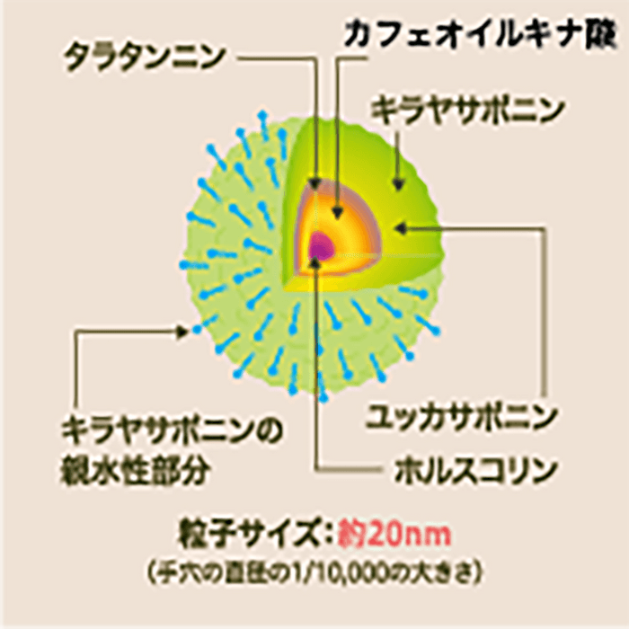 ナノ粒子技術