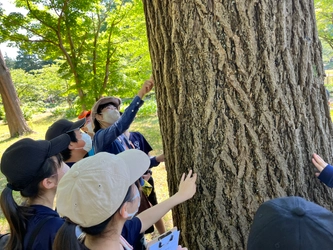 【非認知能力】五感を使った学びを提供　生命を感じ、感謝の心を育成する「樹木観察」とは