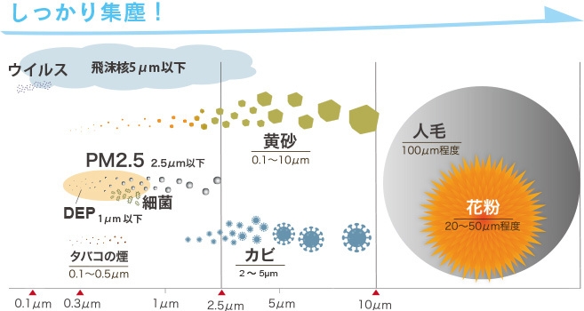 粒子の大きさ比較図