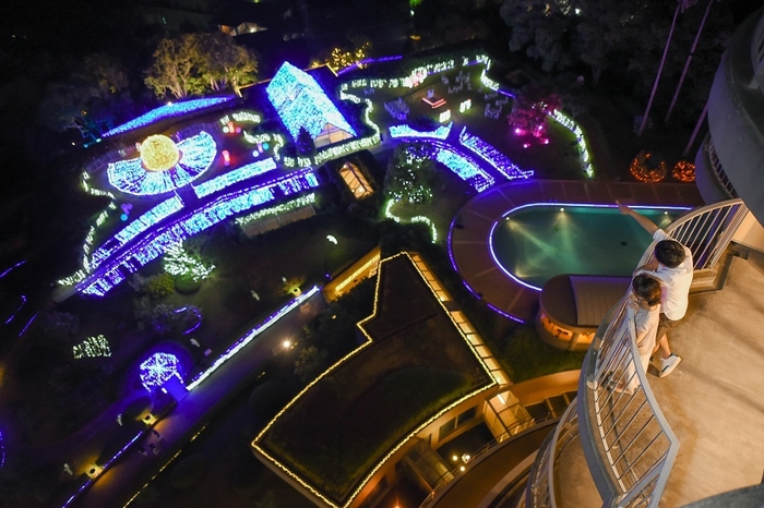 客室からの眺め