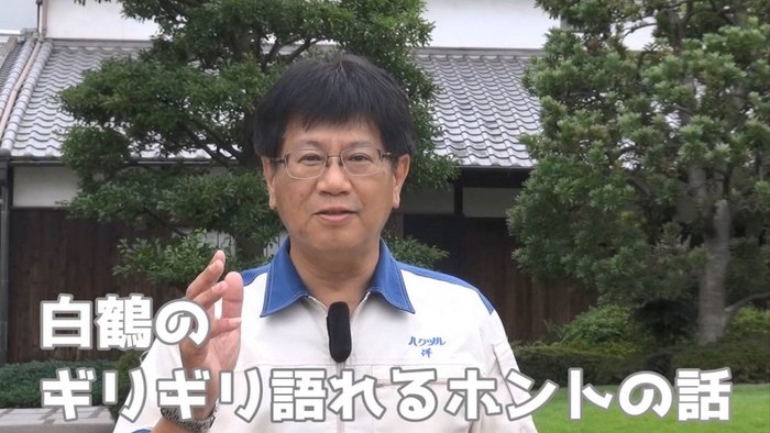 白鶴のギリギリ語れるホントの話 第1回まるのヒミツ