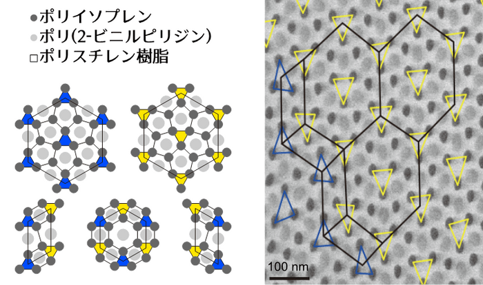 図4.複合高分子系の電子顕微鏡写真。黒丸はポリイソプレン、灰色丸はポリ（2-ビニルピリジン）を示す。これらの分子の間の白色の領域はポリスチレン樹脂によって占められている。