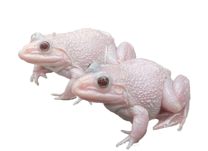 ワクワク!水族館