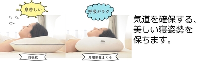 寝姿勢の比較