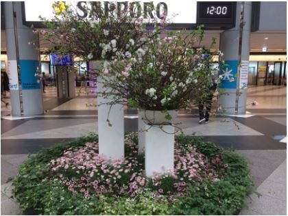 昨年の展示の様子@新千歳空港