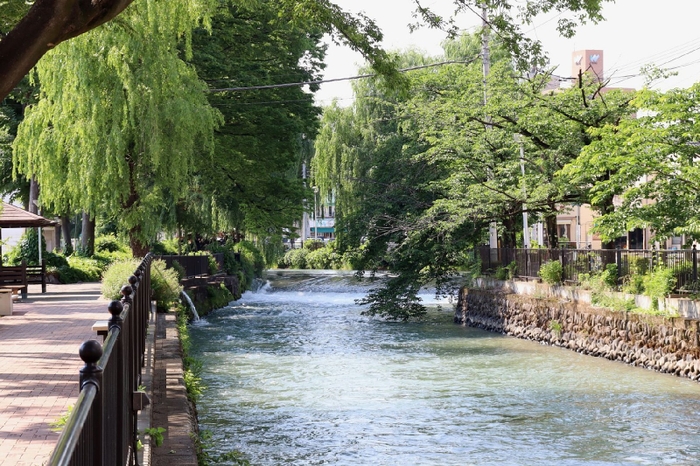 レンガ造りの遊歩道に整備された広瀬川河畔