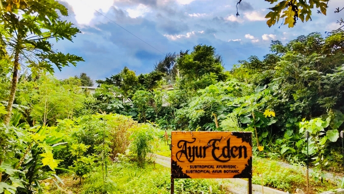 自然療法のリゾート併設ハーブ農園