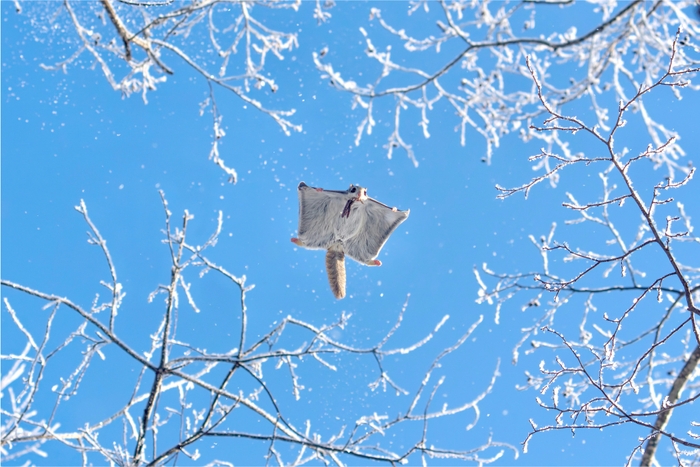 第7回北海道撮影ポイントランキング年間グランプリ展 グランプリ受賞作品