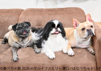フレブルやパグなど“鼻ぺちゃ犬”の作品・グッズが大集合！ 「鼻ぺちゃ展2026」マルイファミリー溝口で9月2日から初開催　 限定グッズや『あうんのてんぽ』作者の来場イベントも