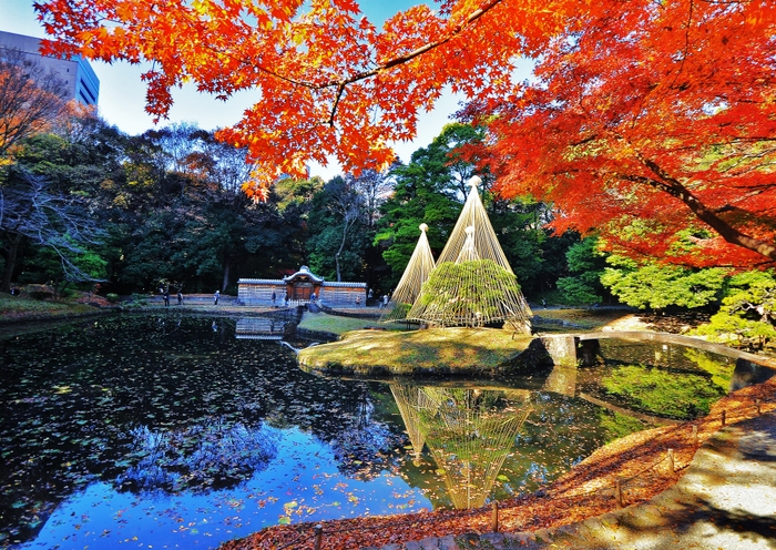 小石川後楽園