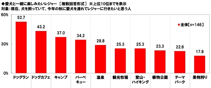 愛犬と一緒に楽しみたいレジャー