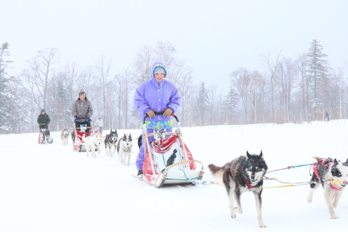 2019年12月のモニター開催時の犬ぞり体験の様子1