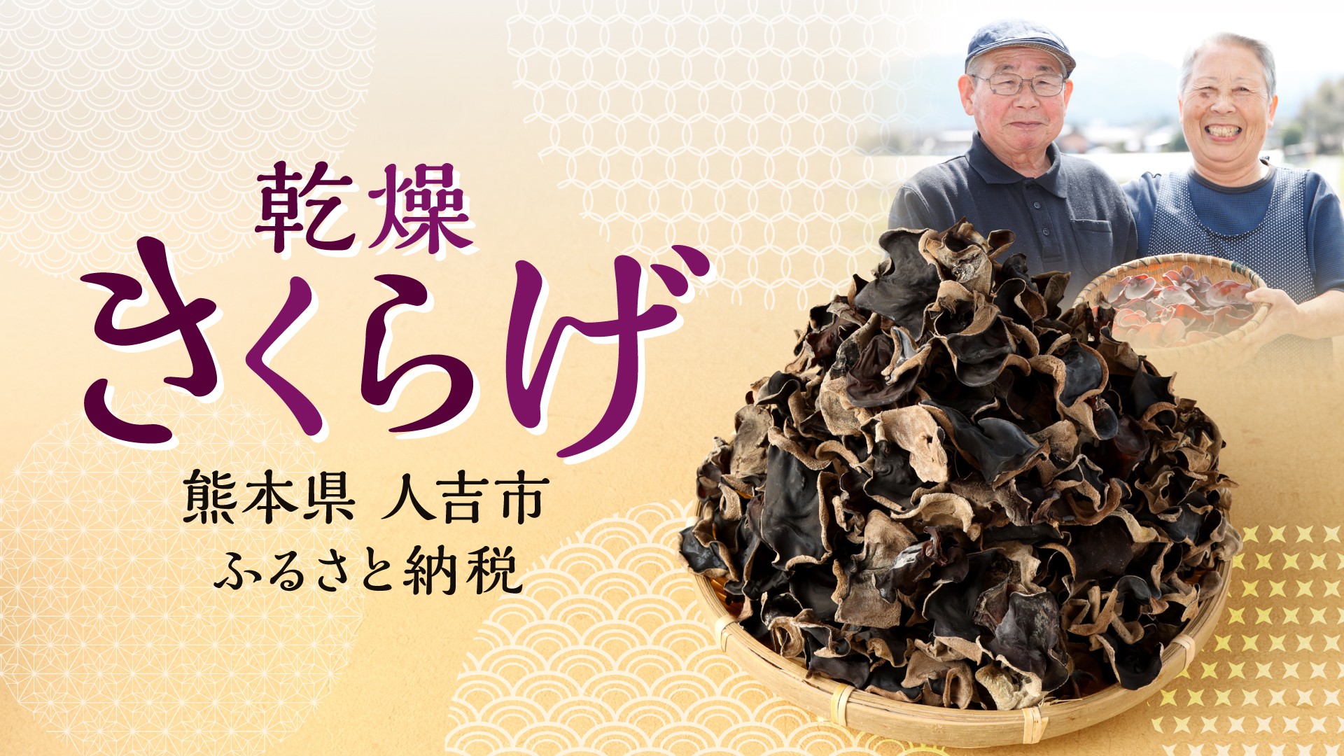 Plants Make 塊獣 ソフビ フィギュア Pachygrack Pachygrack var.itamikun | PlantsMake