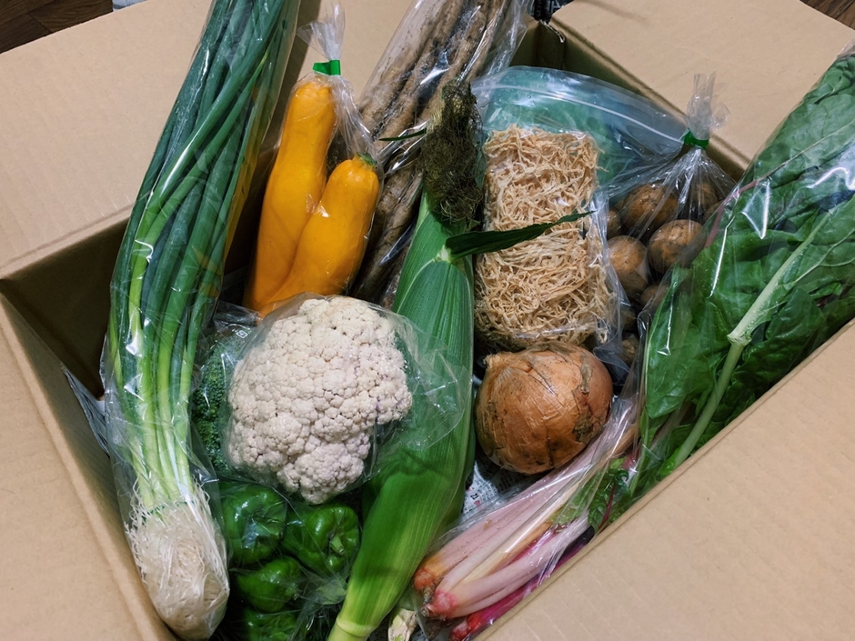 盛りだくさんのお野菜詰め合わせ