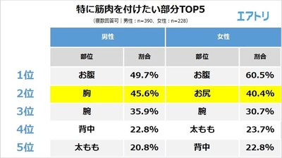 男性は「胸」、女性は「お尻」に筋肉を付けたい！ 最も理想的な筋肉の付き方をしている芸能人、 日本人は「武田真治」「中村アン」、 外国人は「アーノルド・シュワルツェネッガー」に