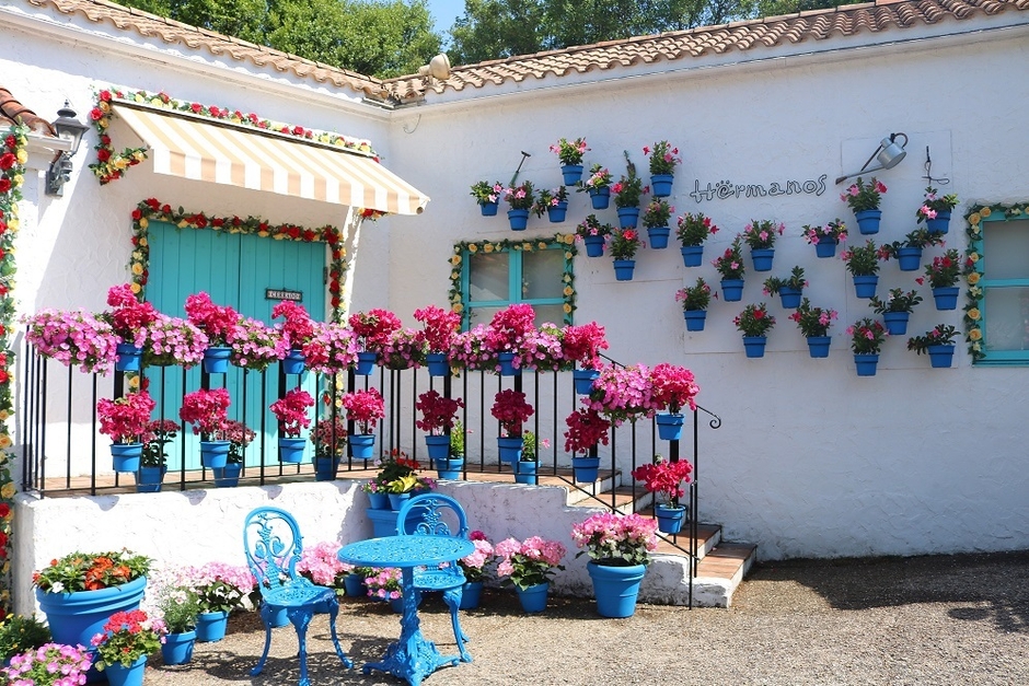 パティオ祭りの装飾で彩られた街並み（去年の様子）