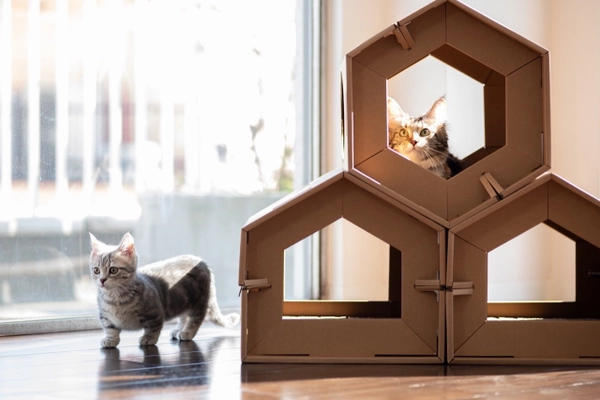 台湾発！軽量強化ダンボールを使用した 遊べるキャットハウス【the hill “CARTON”】登場